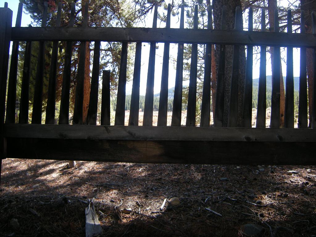 fall09 054